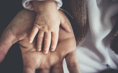 4 Essential Resources Potential Foster Parents Should Know About